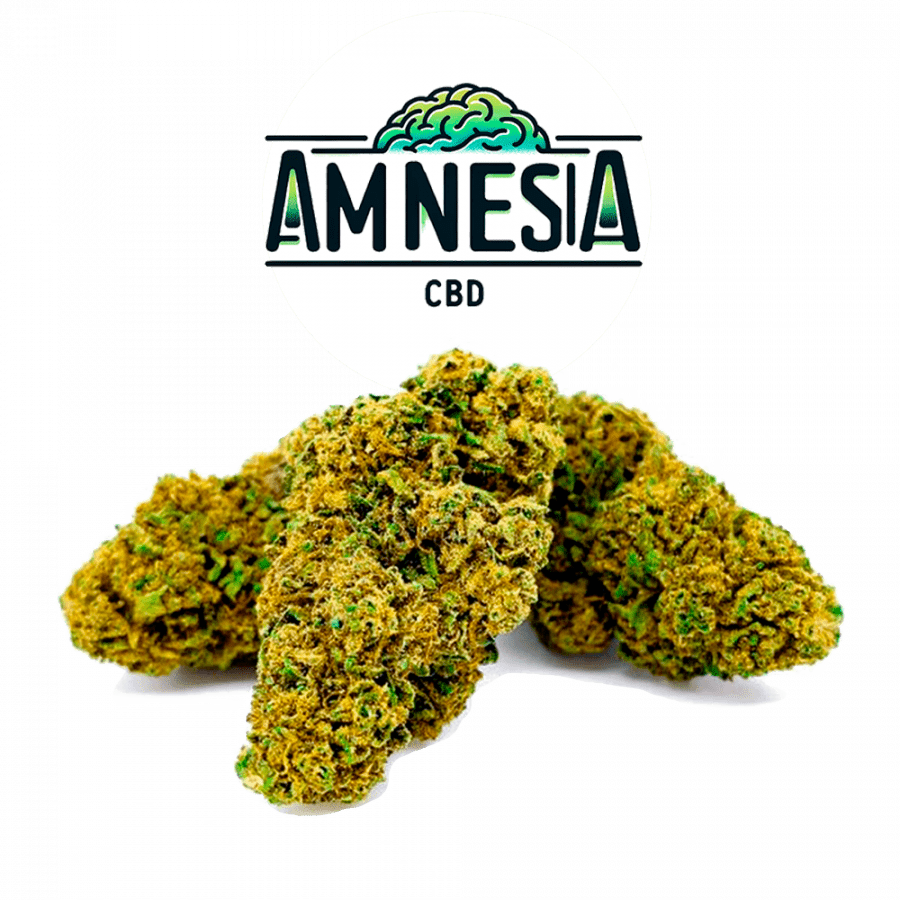 😌🌿Royal Amnesia