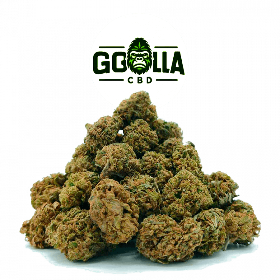 😌🌿Royal Gorilla