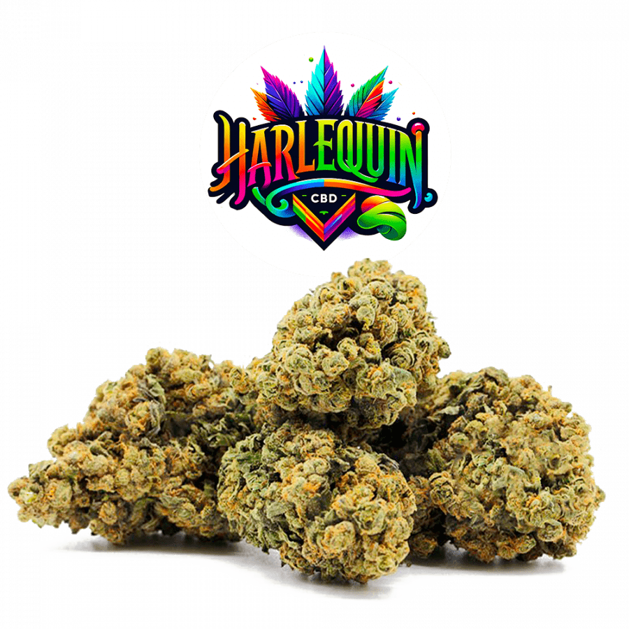 😌🌿Royal Harlequin